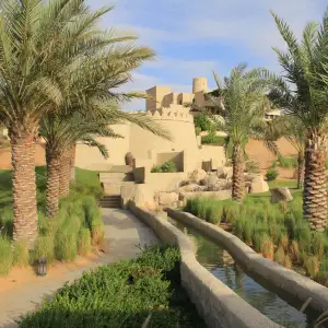 Liwa Oasis
