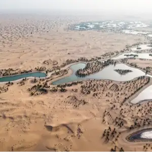 Al Marmoom Desert Conservation Reserve