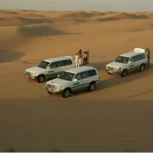 Wild Wadi Desert Safari