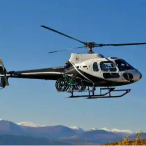 Horizon Helicopter Services
