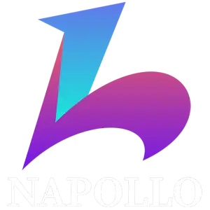 Napollo Digital Agency
