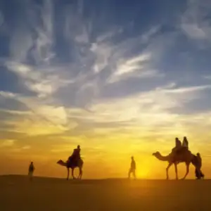 Sunset Camel Ride with Luxury Picnic in the Desert