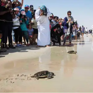 Jebel Ali Wetland Sanctuary