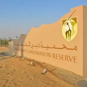 Dubai Desert Conservation Reserve (DDCR)