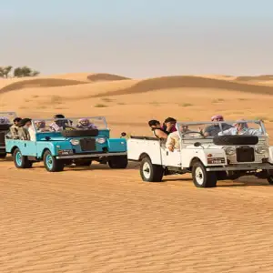 Wildlife Safari at Dubai Desert Conservation Reserve