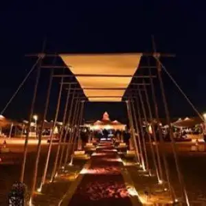 Evening Desert Safari with BBQ Dinner