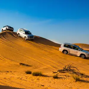 Dune Bashing Adventure
