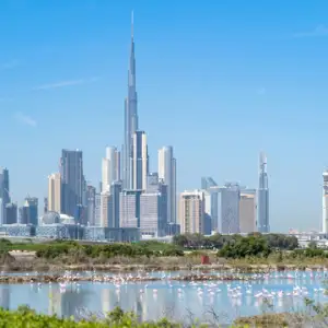 Ras Al Khor Wildlife Sanctuary